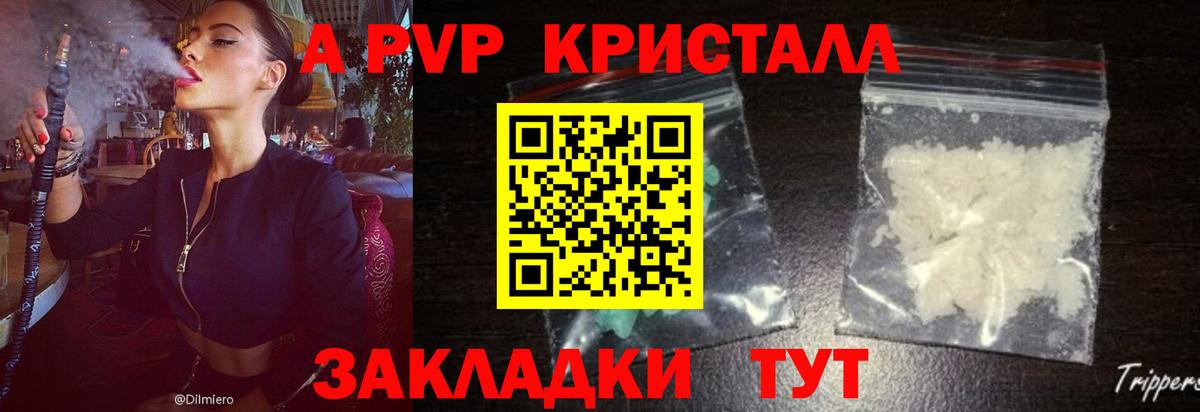 Alfa_PVP СК Ейск