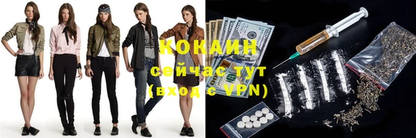 индика Березники
