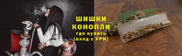 индика Березники