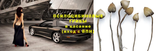 ГАЛЛЮЦИНОГЕННЫЕ ГРИБЫ Домодедово