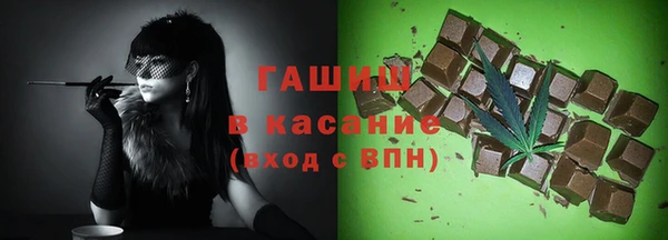 индика Березники