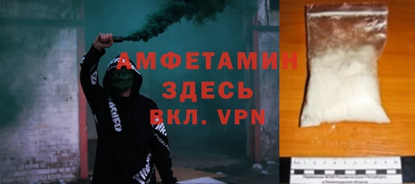 индика Березники