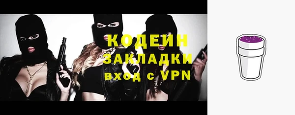 индика Березники