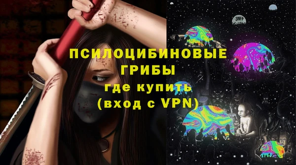 ГАЛЛЮЦИНОГЕННЫЕ ГРИБЫ Домодедово