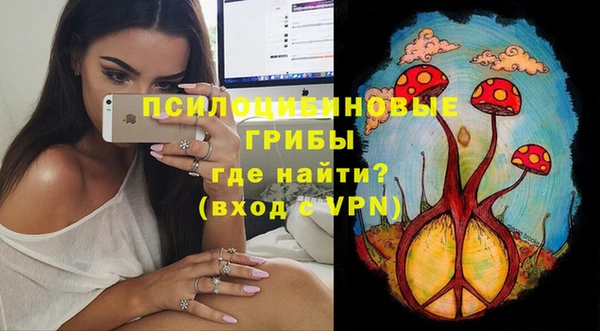 соль курить ск Долгопрудный