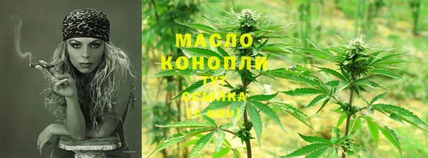 индика Березники