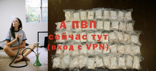 ГАЛЛЮЦИНОГЕННЫЕ ГРИБЫ Домодедово