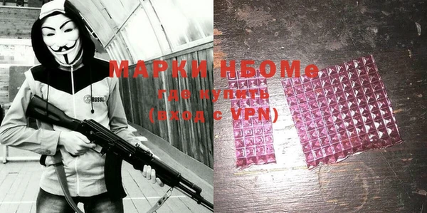 индика Березники