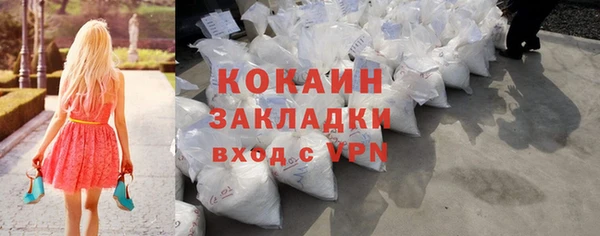 индика Березники
