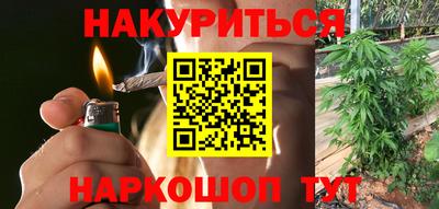 прущие грибы Волгодонск