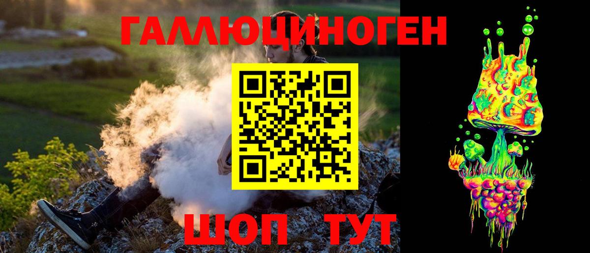 APVP Ейск