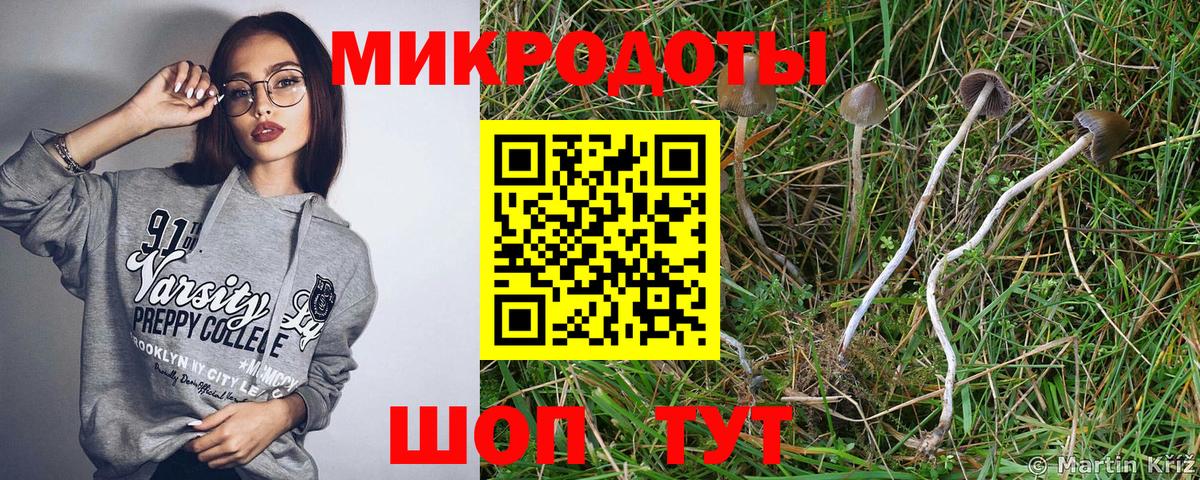 Ейск  Псилоцибиновые грибы мицелий  Вход с VPN 